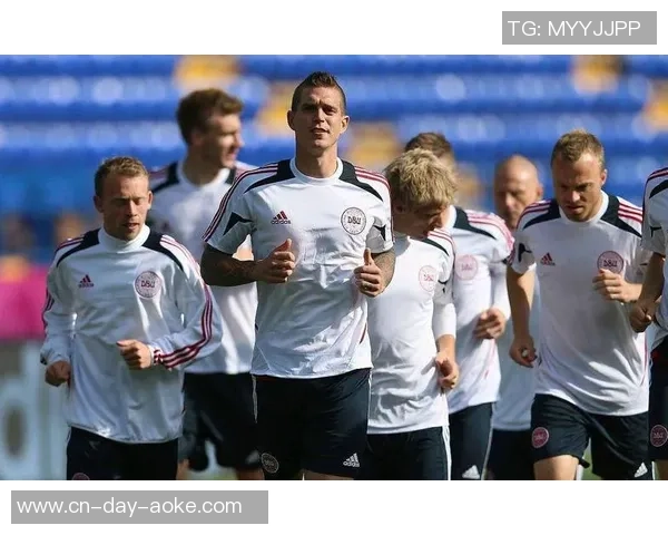 德国杯精彩对决开姆尼茨迎战霍芬海姆期待激烈较量